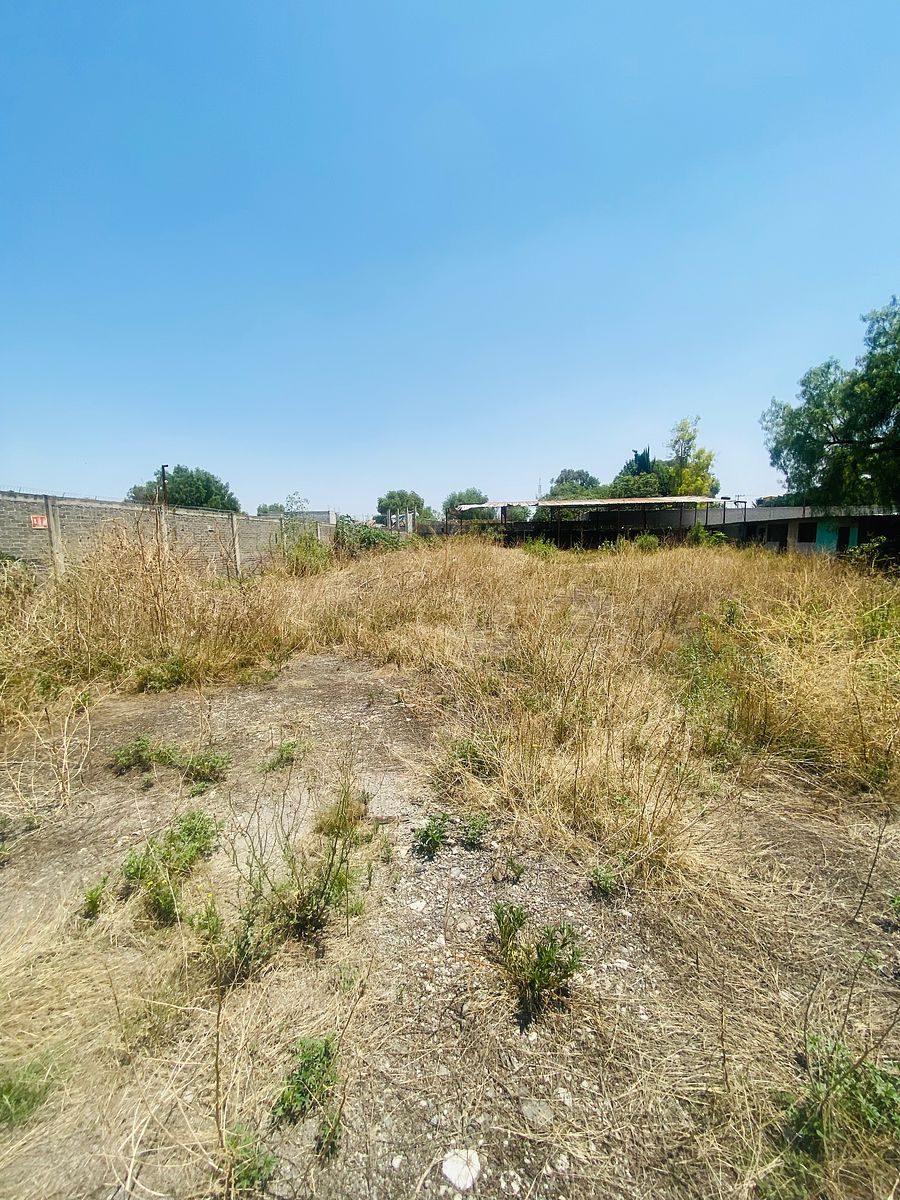 Terreno comercial en San Vicente Chicoloapan de Juárez Centro, Chicoloapan, foto 8 de 9