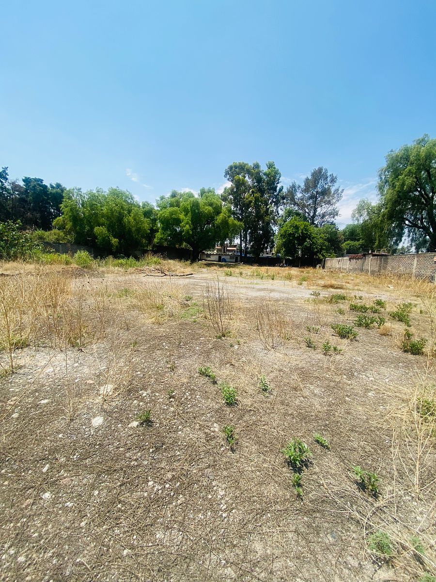 Terreno comercial en San Vicente Chicoloapan de Juárez Centro, Chicoloapan, foto 9 de 9