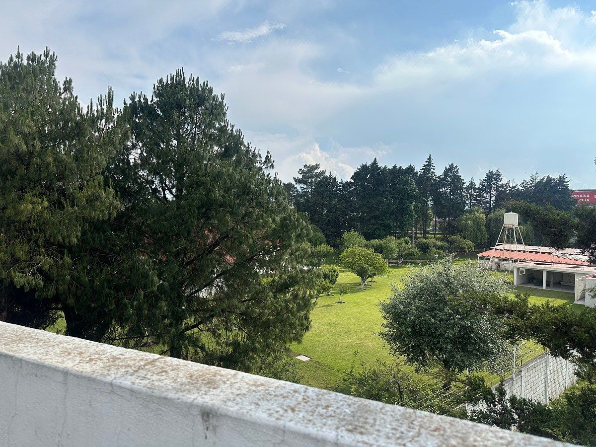 17 de 18