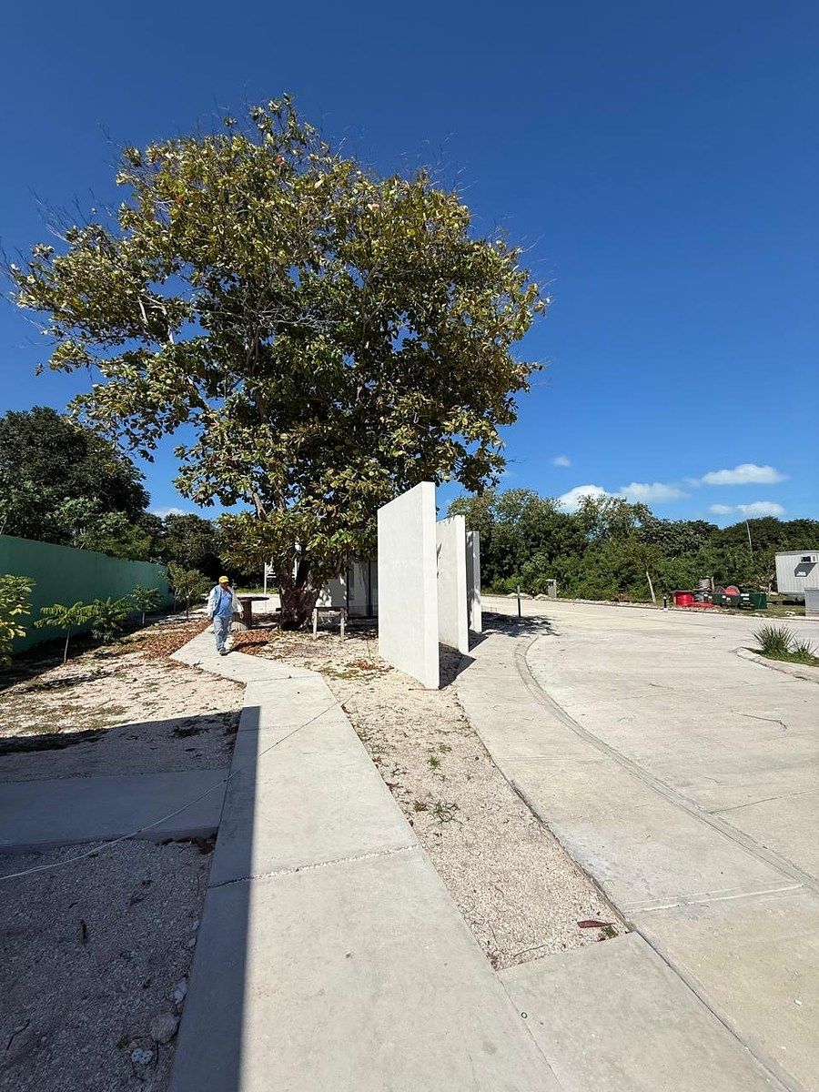 Terreno en Paseo de los Bosques, Carmen, foto 8 de 14