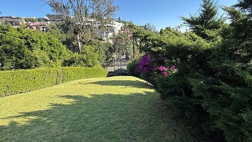 8 de 33