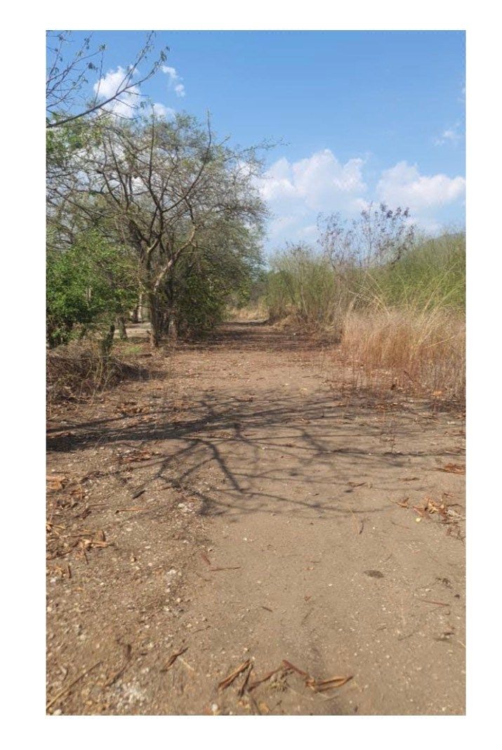 En Venta terreno para uso habitacional, cerca del Fracc. Campiñas - foto 1