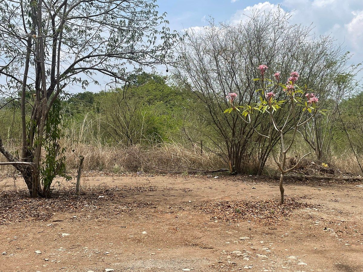 Terreno en Alianza Campesina, Tuxtla Gutiérrez, foto 3 de 12
