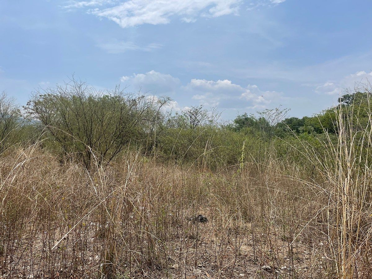 Terreno en Alianza Campesina, Tuxtla Gutiérrez, foto 4 de 12