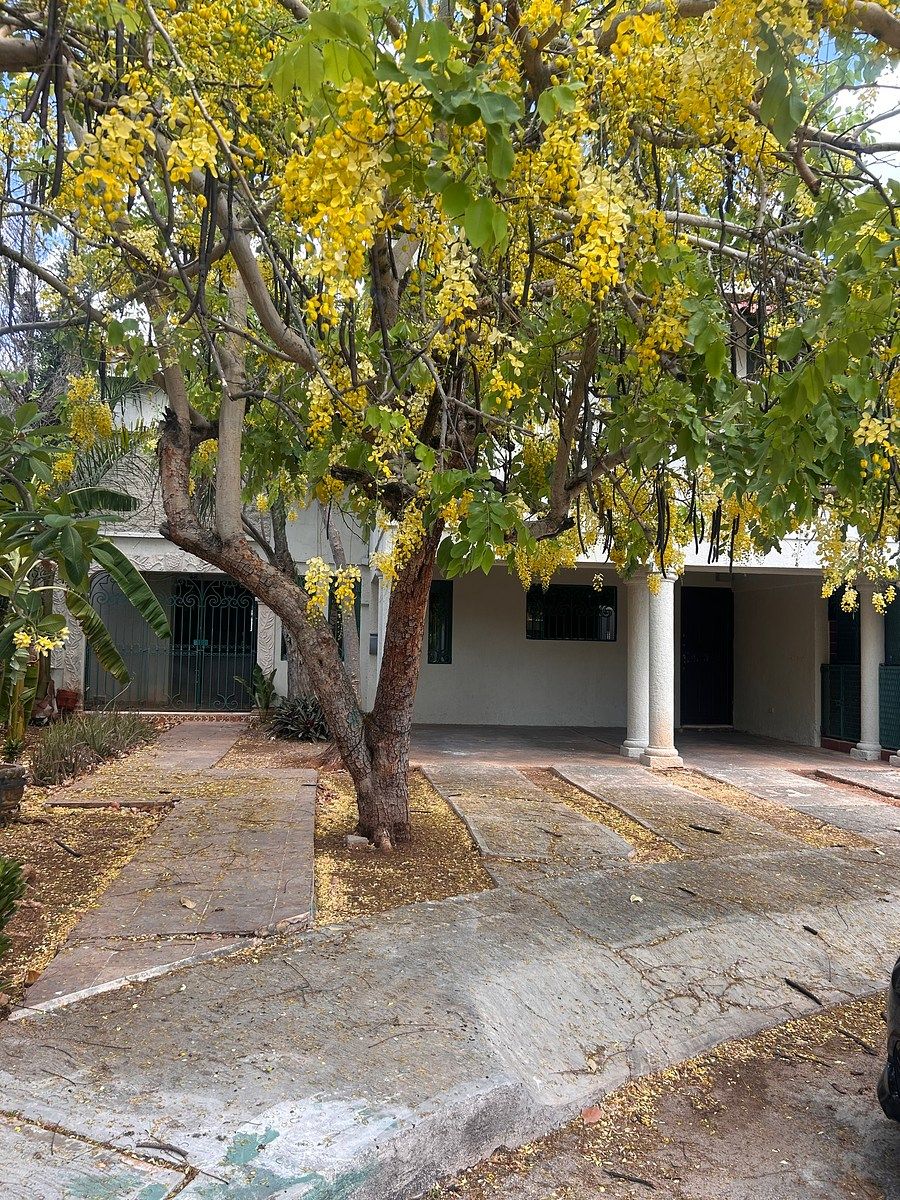 RENTO CASA AMUEBLADA  CON PISCINA (calle Cerrada ), foto 1 de 43