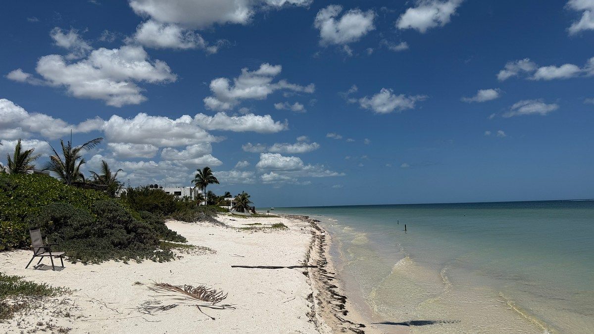 Lot in San Benito, Dzemul, photo 5 of 5