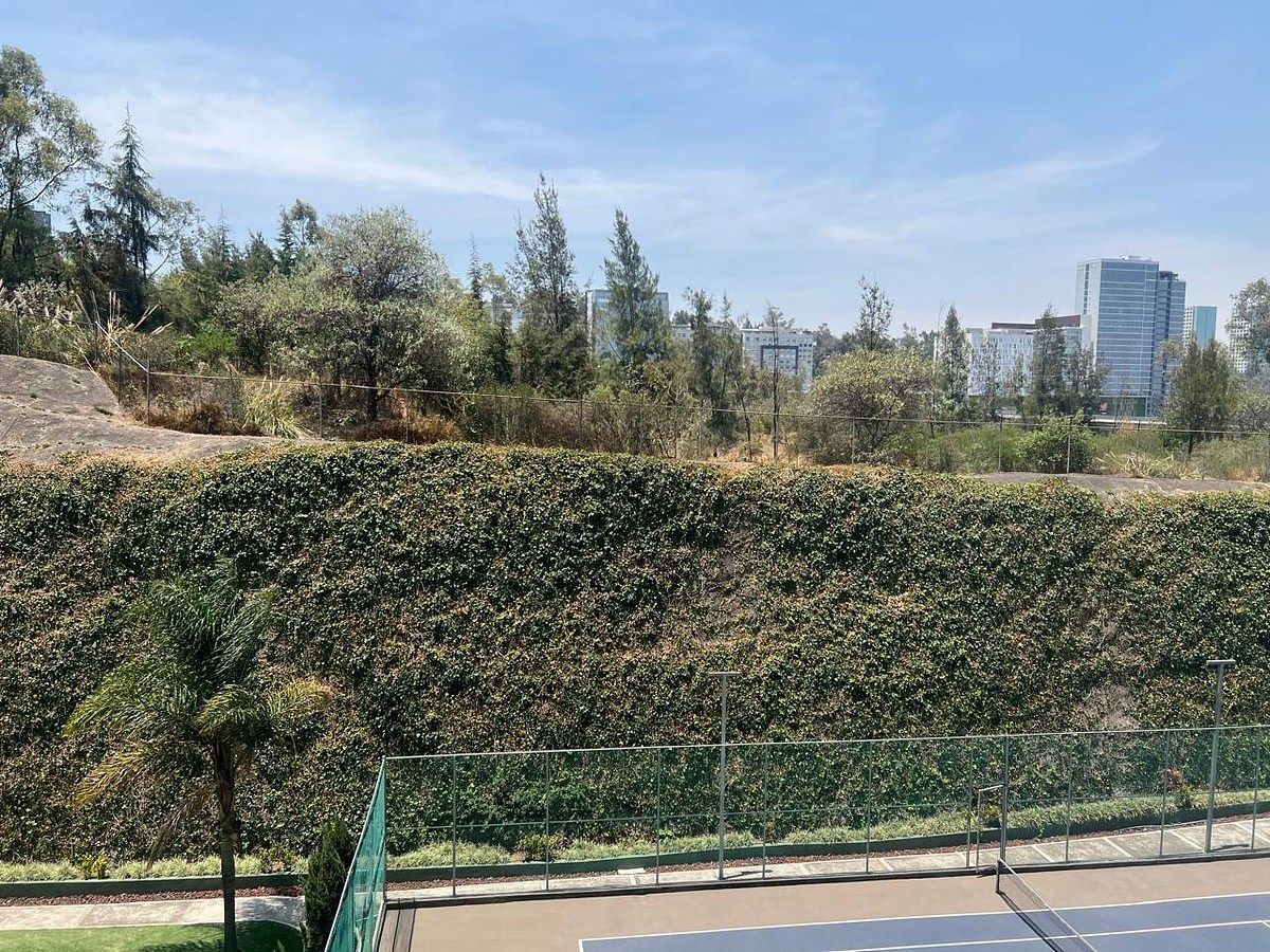 13 de 31