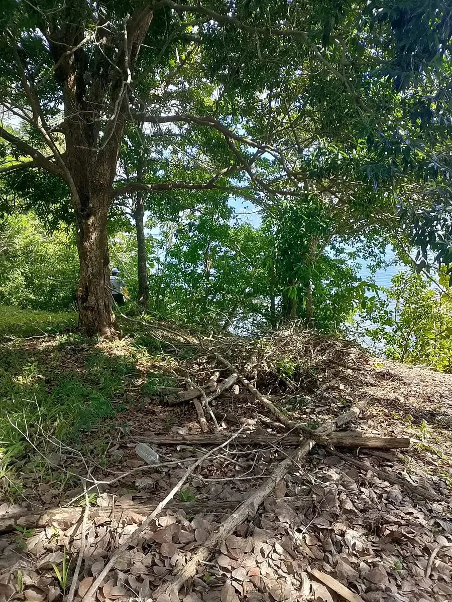 Terreno en Bacalar, Bacalar, foto 4 de 7