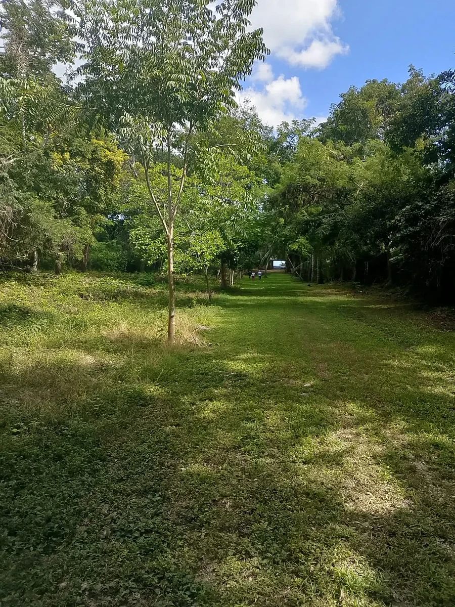 Terreno en Bacalar, Bacalar, foto 6 de 7