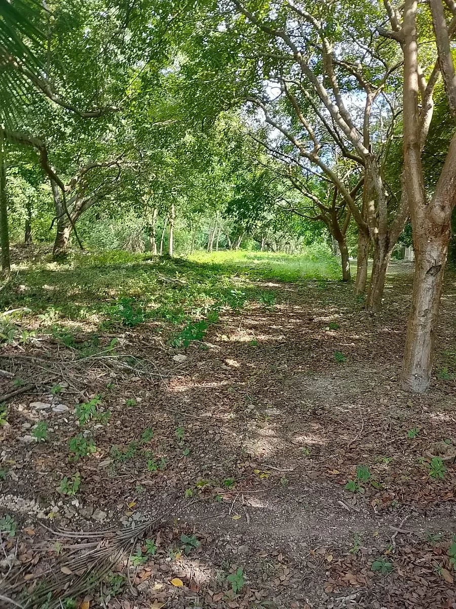 Terreno en Bacalar, Bacalar, foto 7 de 7