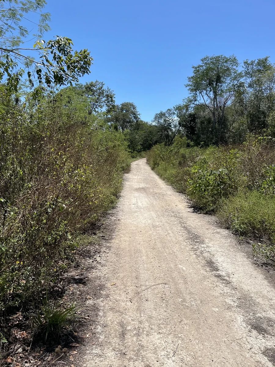 Terreno en Chetumal Centro, Chetumal, foto 4 de 7
