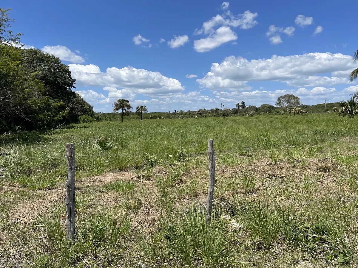Terreno en Chetumal Centro, Chetumal, foto 7 de 7