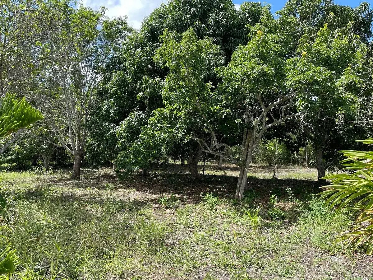 Terreno en Xul-ha, Othón P. Blanco, foto 6 de 7