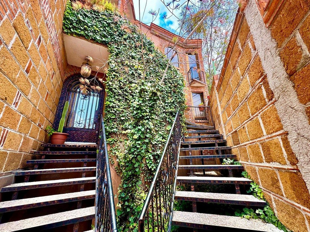 Departamento en Renta en San Jerónimo Lídice Rayo Vende ®, foto 25 de 26
