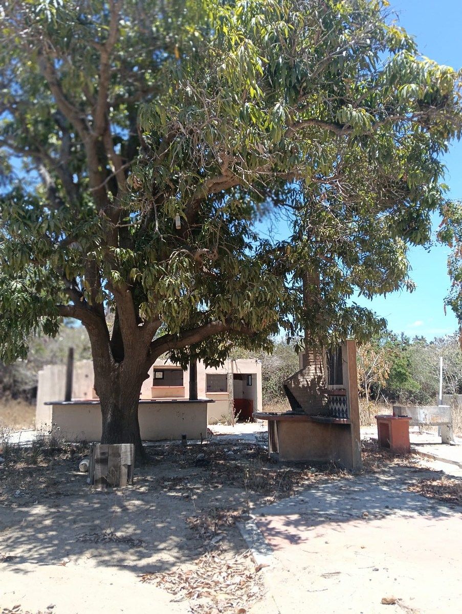Lote em Cabeza Blanca, Todos Santos, foto 3 de 9
