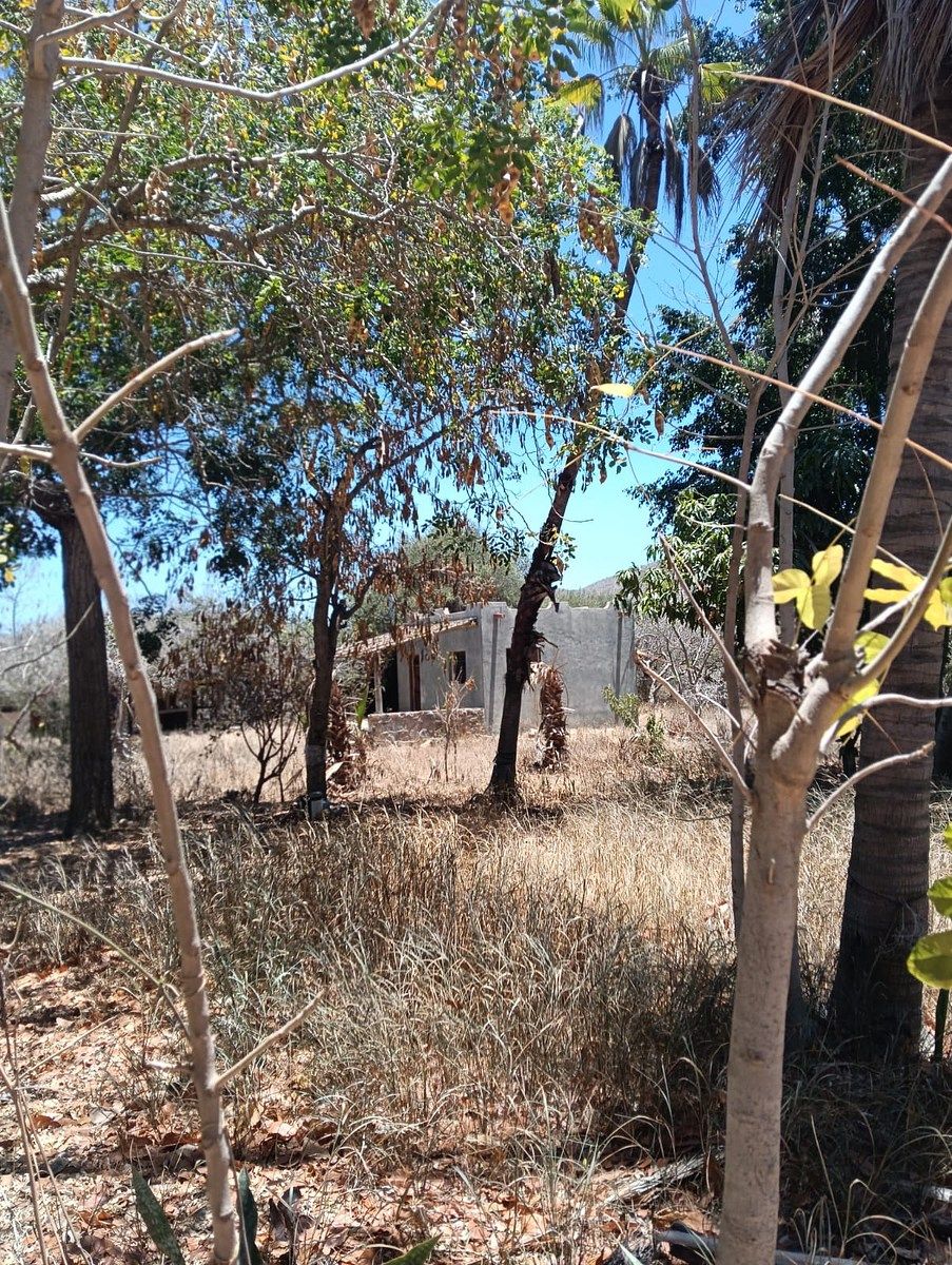 Lote em Cabeza Blanca, Todos Santos, foto 5 de 9