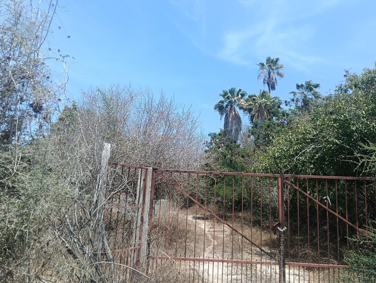 Lote em Cabeza Blanca, Todos Santos, foto 8 de 9
