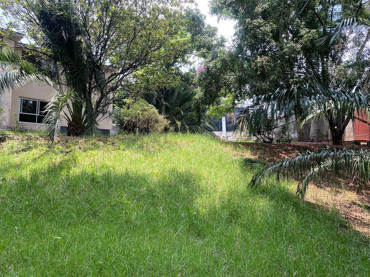 Lote em Olivar de los Padres, Álvaro Obregón, foto 3 de 6