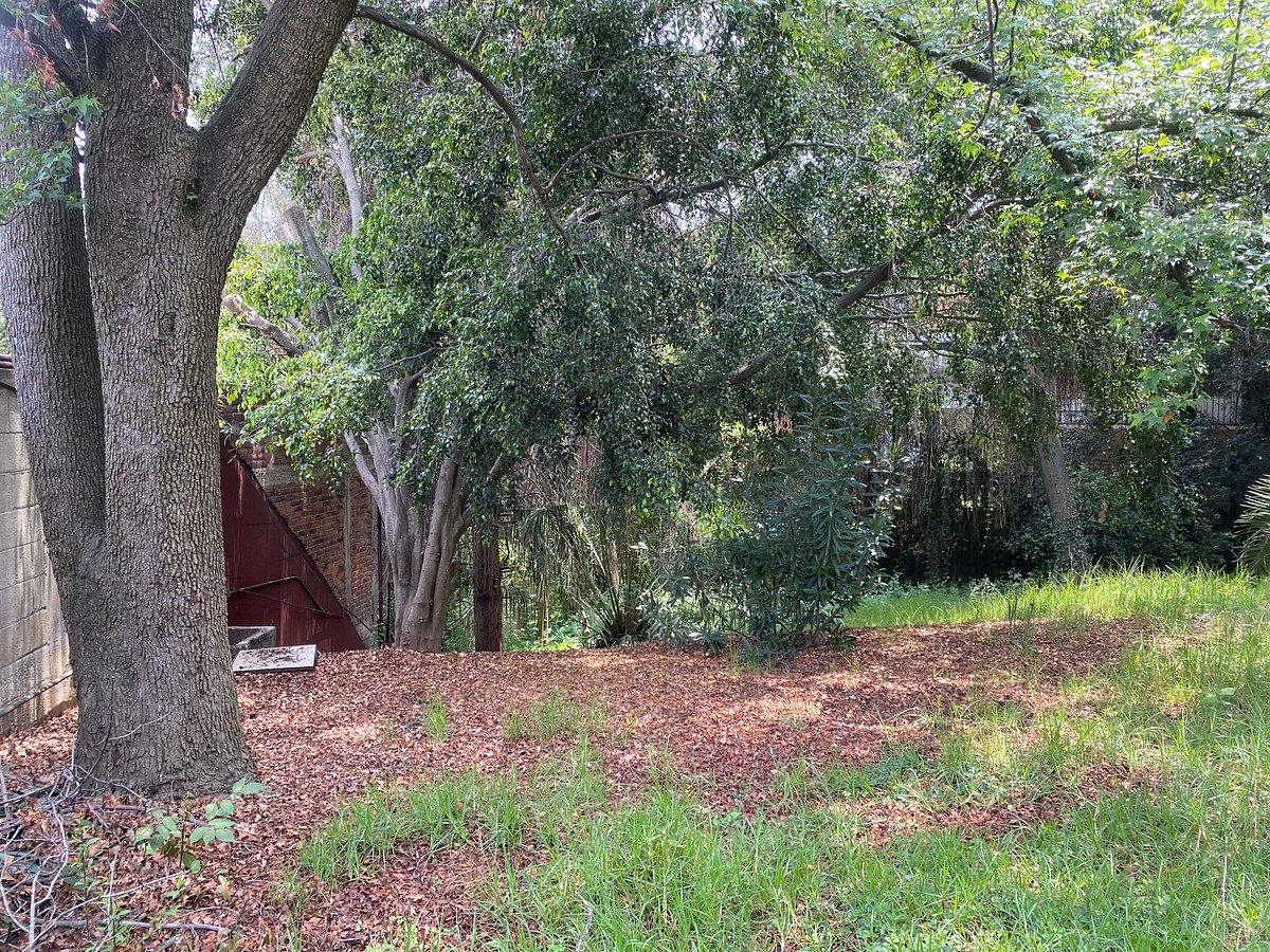 Lote em Olivar de los Padres, Álvaro Obregón, foto 6 de 6