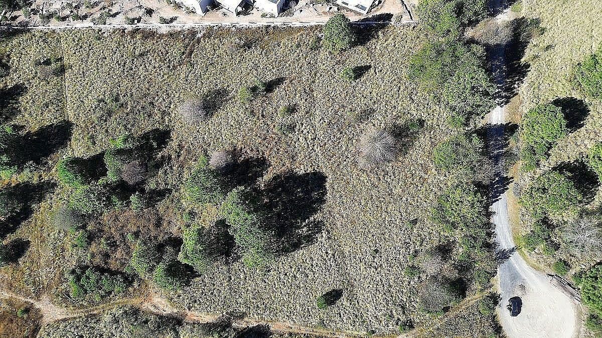 Terreno en Tapalpa, Tapalpa, foto 13 de 15