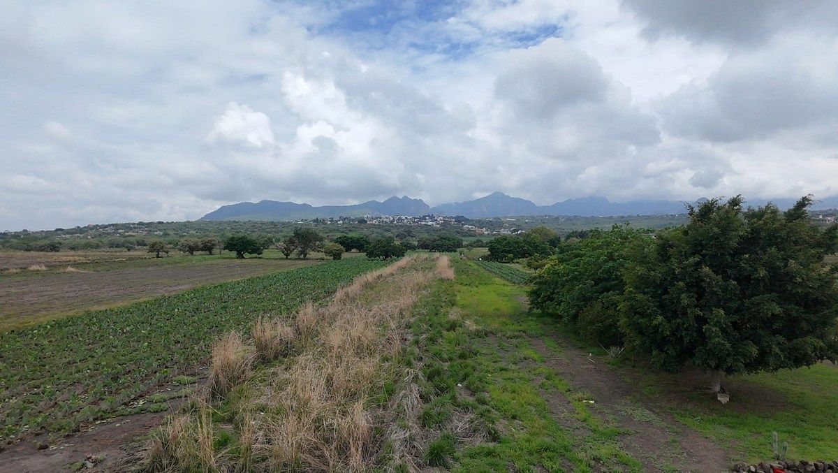 Lote em San Juan Texcalpan, Atlatlahucan, foto 8 de 16