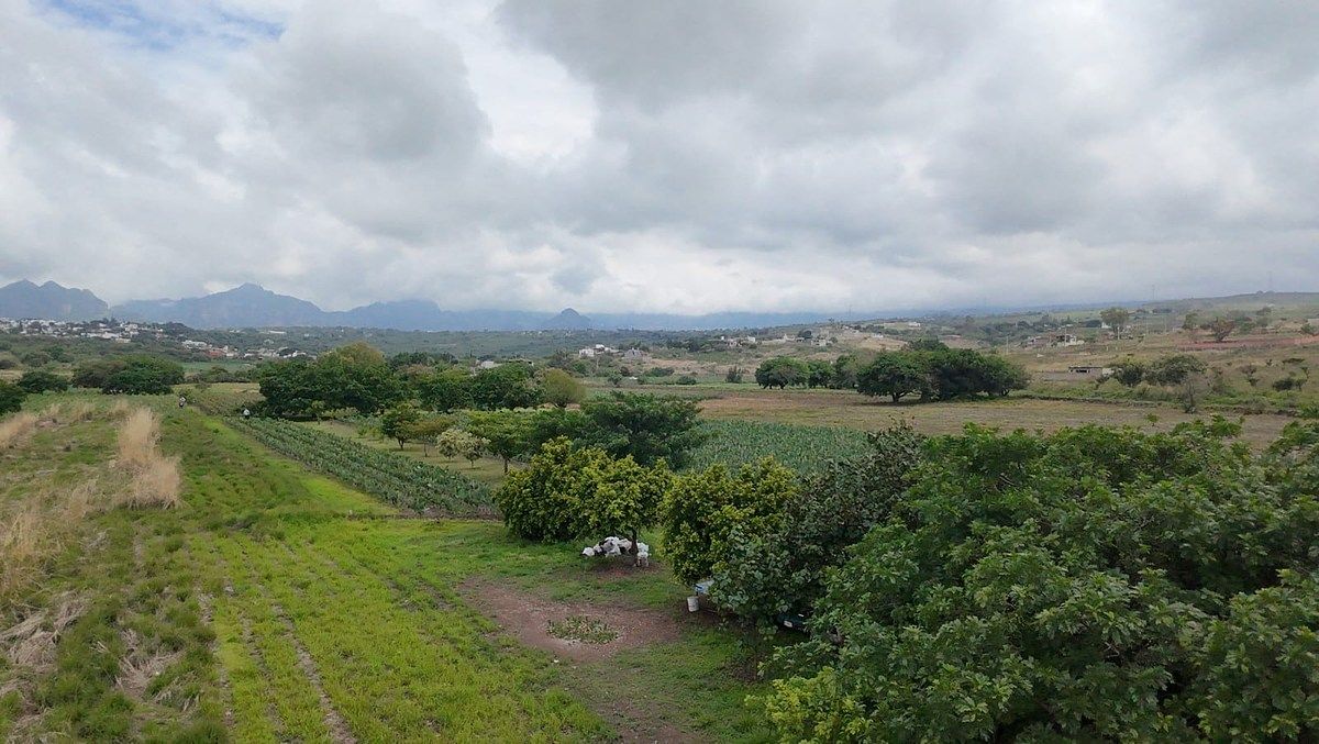 Lote em San Juan Texcalpan, Atlatlahucan, foto 2 de 16
