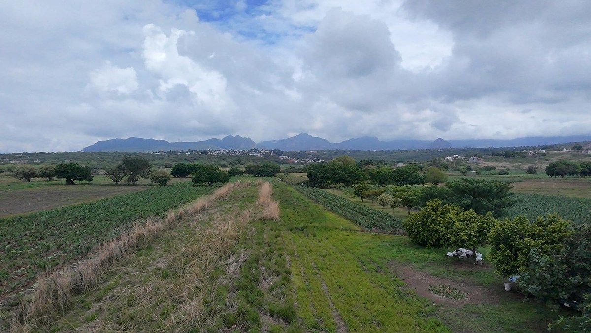 Lote em San Juan Texcalpan, Atlatlahucan, foto 3 de 16