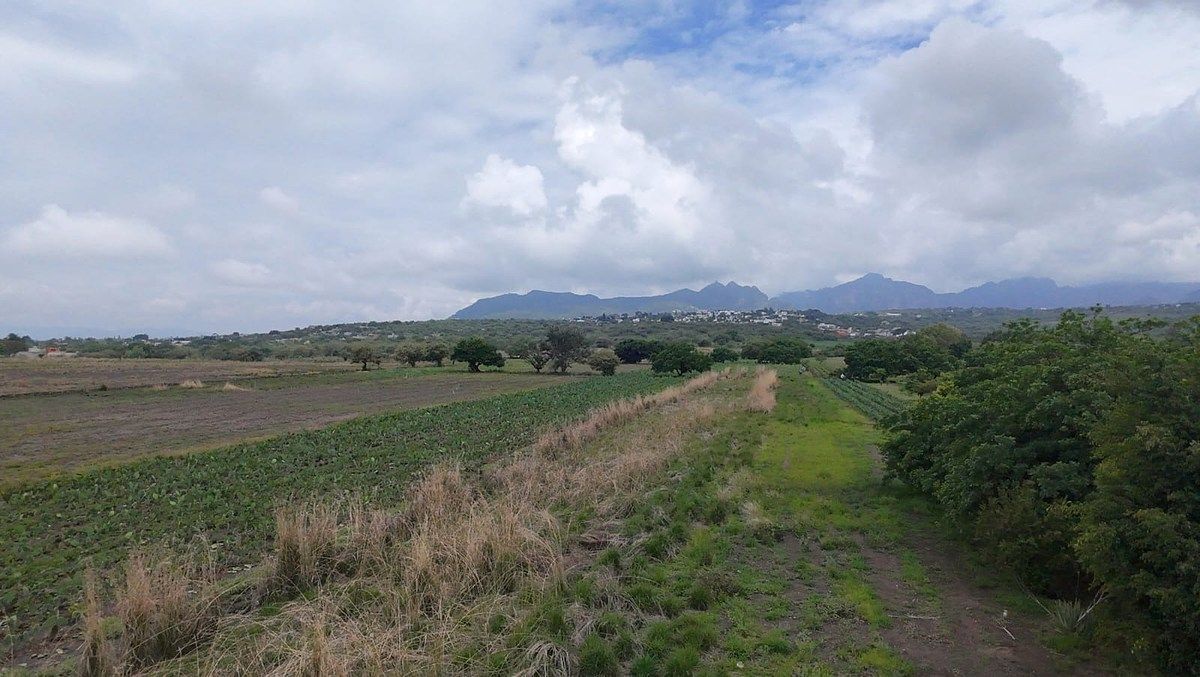Lote em San Juan Texcalpan, Atlatlahucan, foto 10 de 16