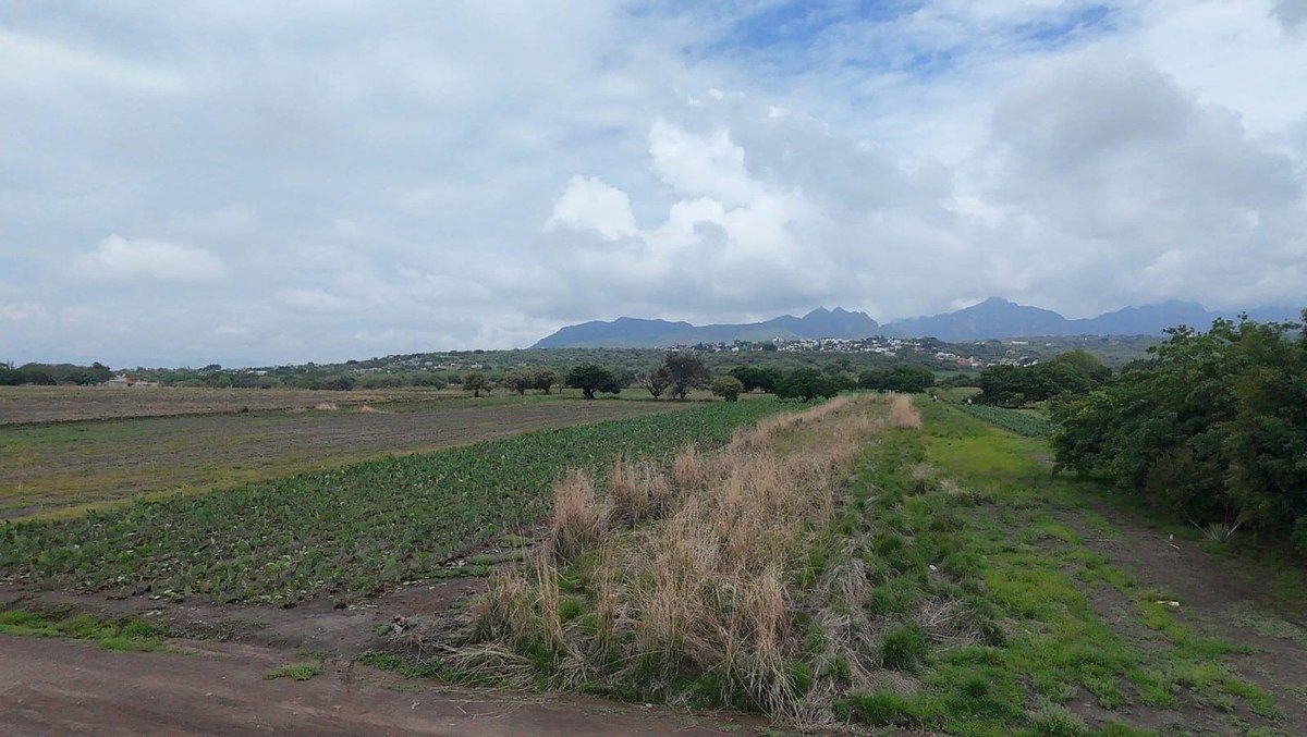 TERRENO EN VENTA EN ATLATLAHUCAN, foto 1 de 16