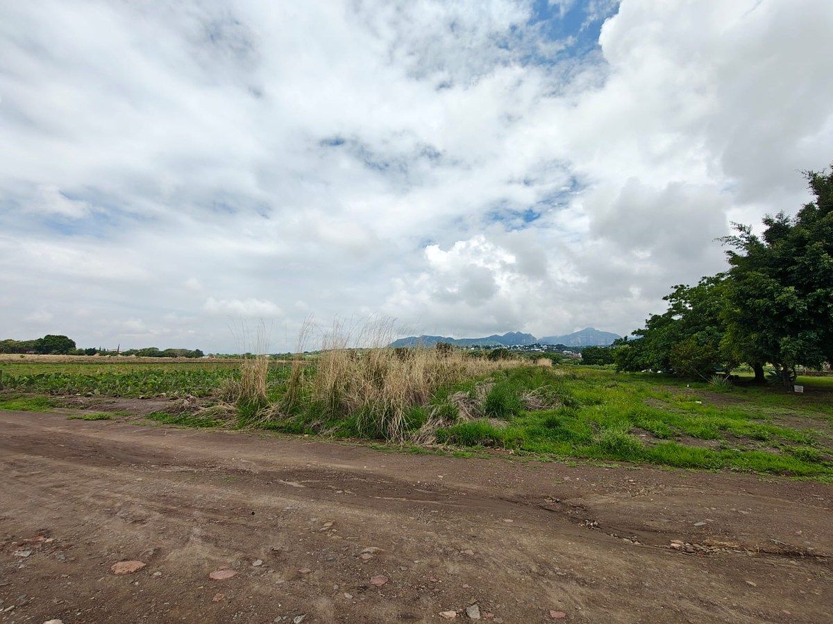 Lote em San Juan Texcalpan, Atlatlahucan, foto 13 de 16