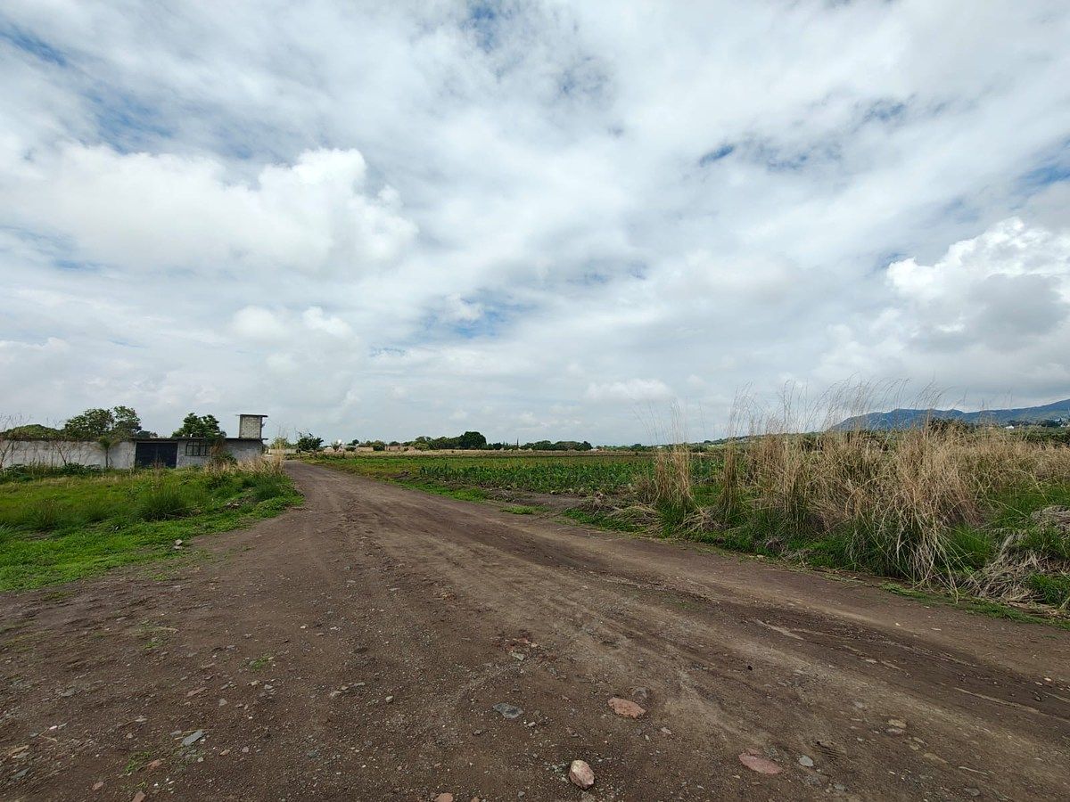 Lote em San Juan Texcalpan, Atlatlahucan, foto 14 de 16