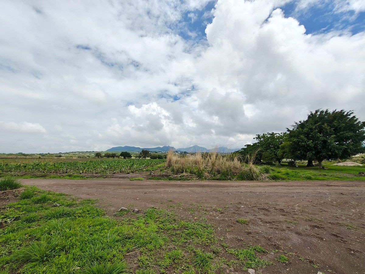 Lote em San Juan Texcalpan, Atlatlahucan, foto 15 de 16