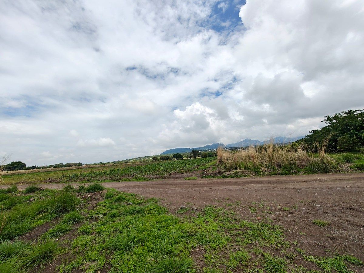 Lote em San Juan Texcalpan, Atlatlahucan, foto 16 de 16