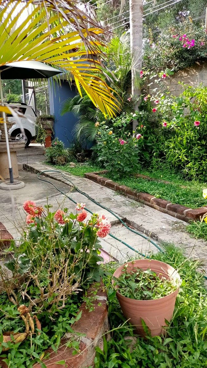 Casa en condominio en Lomas de Santa Anita, Tlajomulco de Zúñiga, foto 20 de 24