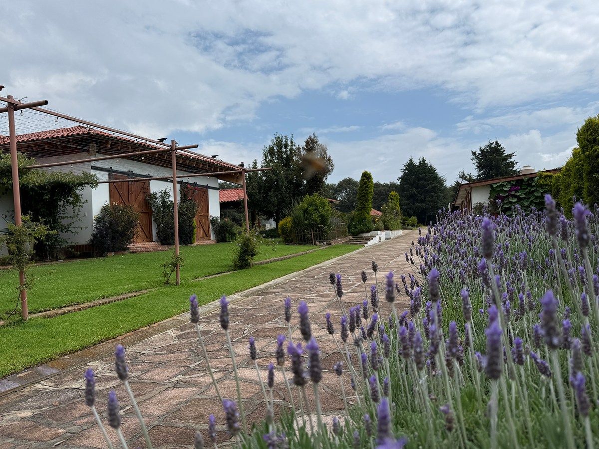 Fazenda em Espíritu Santo, Jilotzingo, foto 22 de 40