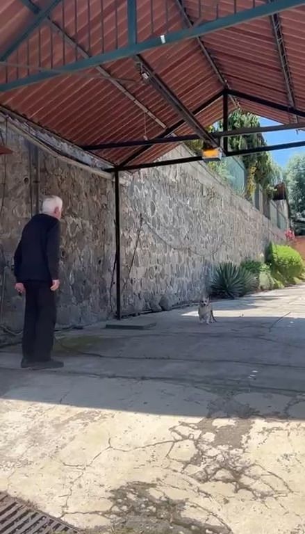 Casa en Locaxco, Cuajimalpa de Morelos, foto 6 de 50