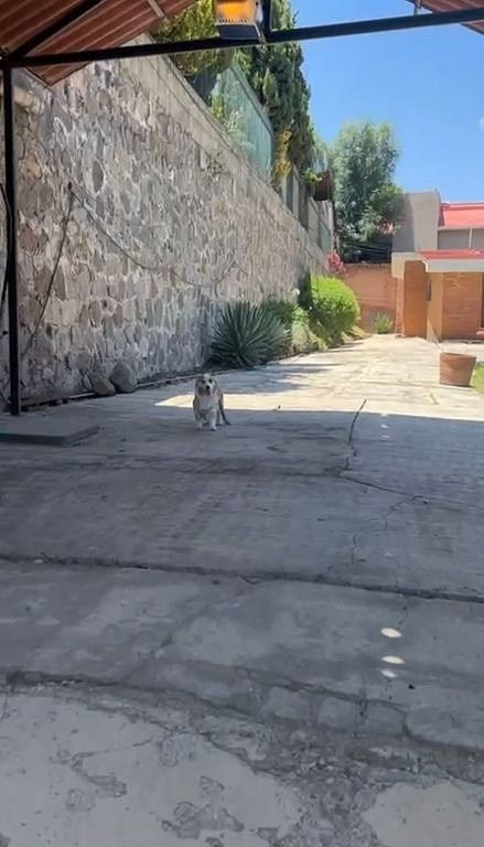 Casa en Locaxco, Cuajimalpa de Morelos, foto 7 de 50