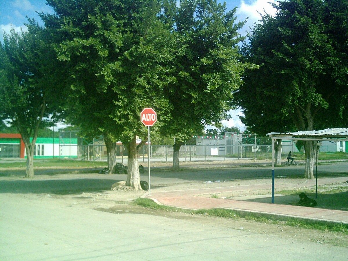 Terreno en Chichi Suárez, Mérida, foto 2 de 9