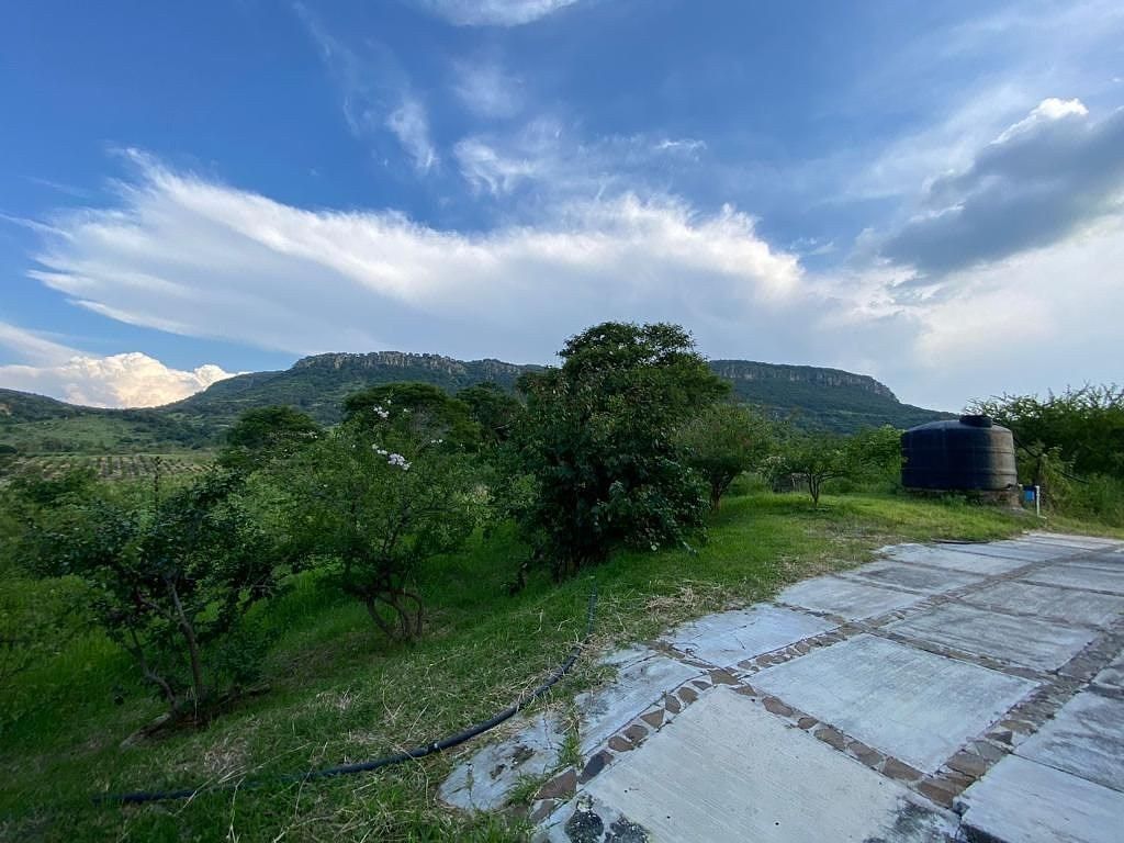 SE VENDE PROPIEDAD CAMPESTRE , 1 HECTARIA EN ZAPOPAN - foto 5