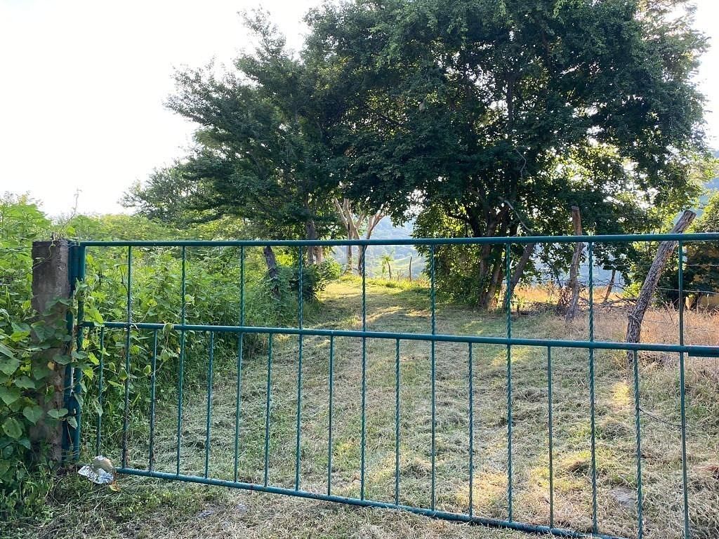 SE VENDE PROPIEDAD CAMPESTRE , 1 HECTARIA EN ZAPOPAN - foto 2
