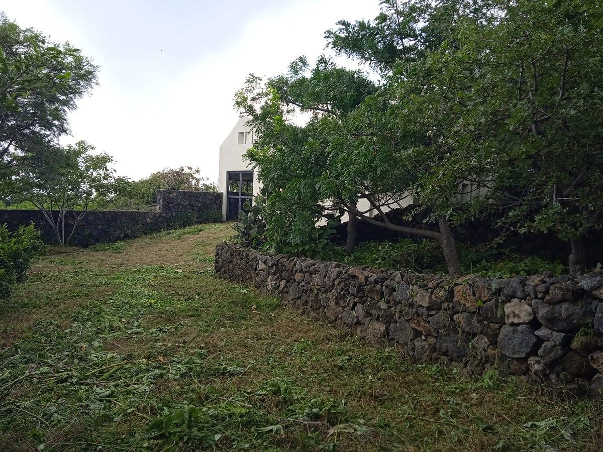 House in Santo Domingo Ocotitlán, Tepoztlán, photo 7 of 16