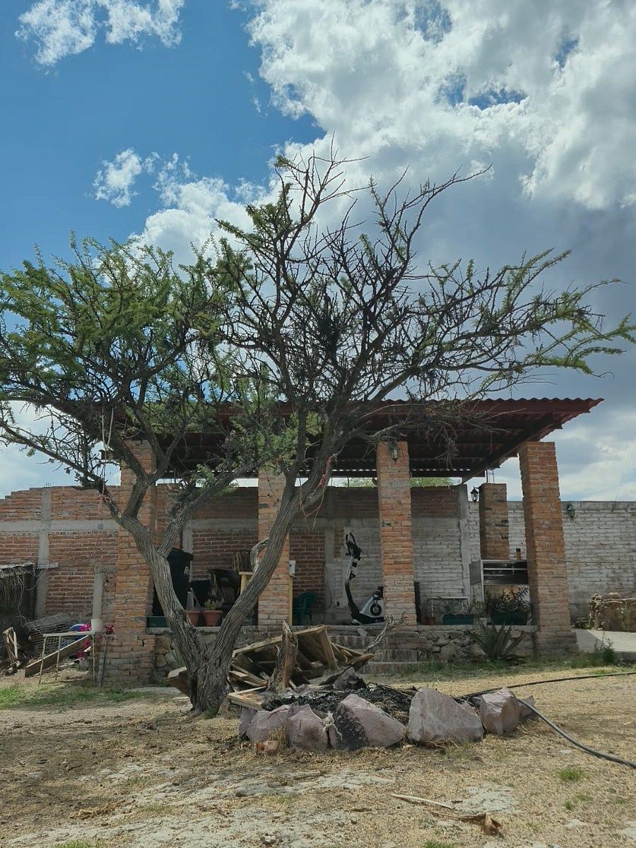 Terreno en El Salto de los Salado, Aguascalientes, foto 8 de 25