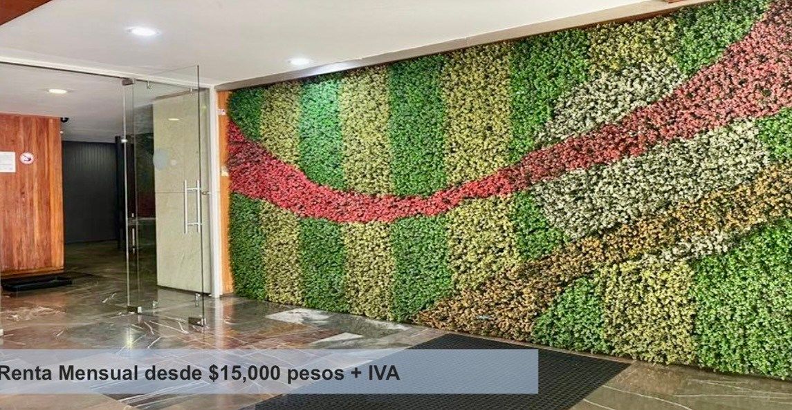1 de 8