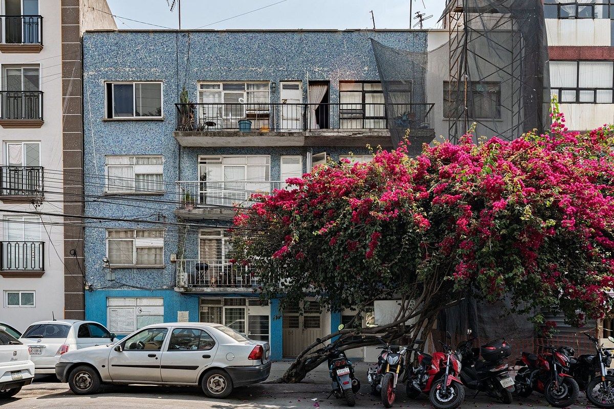 Apartamento em Piedad Narvarte, Benito Juárez, foto 5 de 16