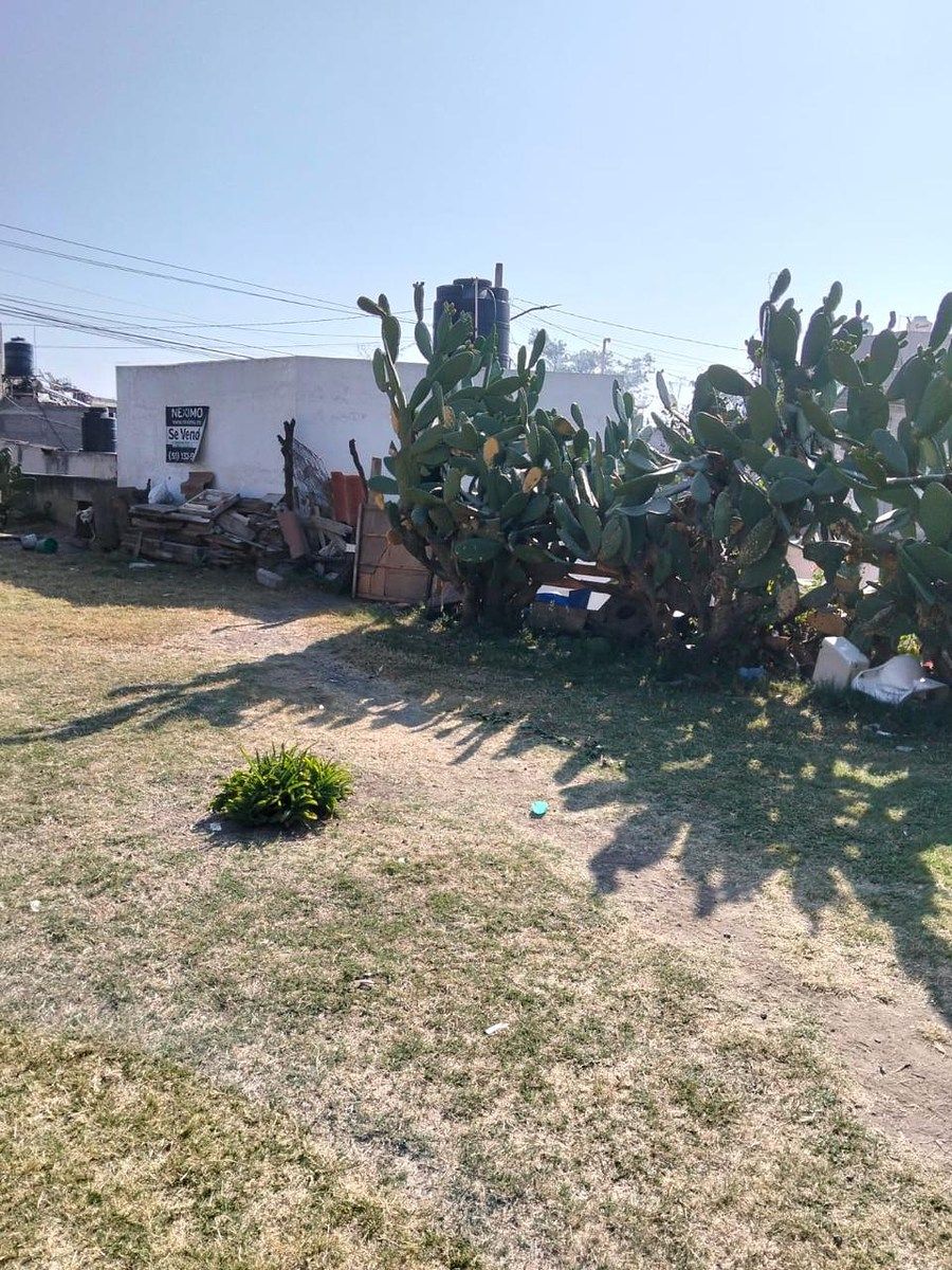 Lote comercial em Santa Cruz Tlalpizahuac, Ixtapaluca, foto 5 de 5