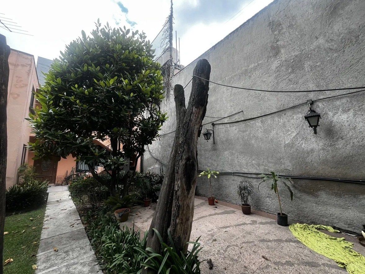 Terreno en San Juan, Benito Juárez, foto 12 de 14