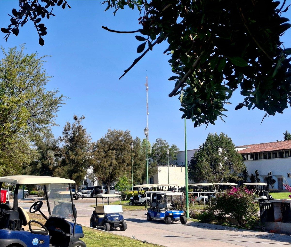 3 de 38