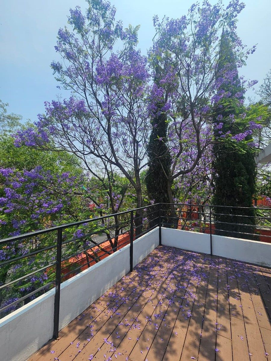 Casa con uso de suelo en Altavista, Álvaro Obregón, foto 24 de 25