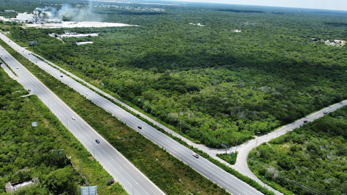 Lot in Tamanché, Mérida, photo 9 of 13