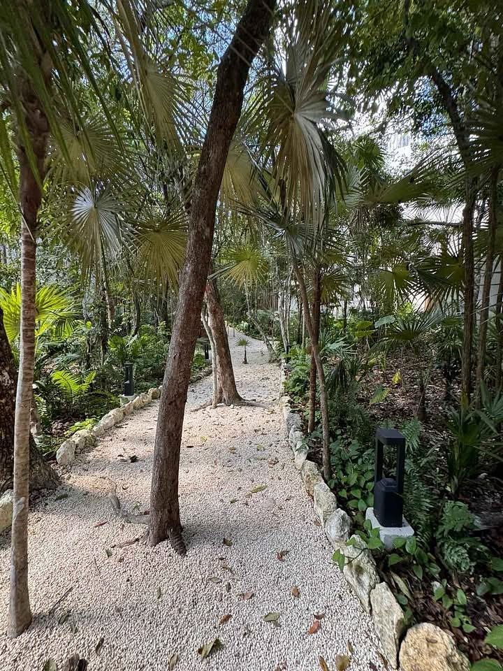 Apartment in La Veleta, Tulum, photo 13 of 16